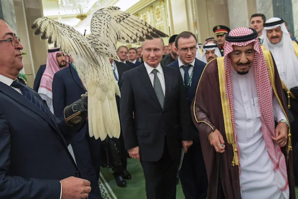 Подаренный саудовскому королю кречет разволновался и загадил дворец