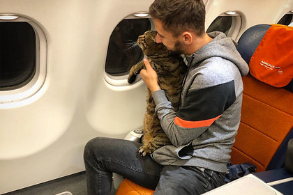 Россиянина отказались пускать в самолет со слишком толстым котом