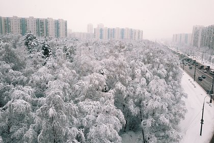 Украине напророчили непростую зиму