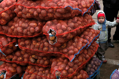 Жадные фермеры заставили Украину скупать картофель в России