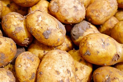 Зависимость Украины от африканского картофеля назвали позором