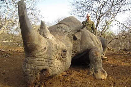 Депутат Рады попозировал с убитыми носорогом, гиеной и редкой антилопой