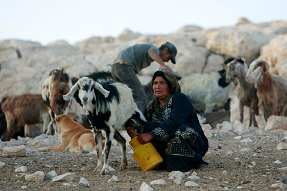 Власти Израиля захотели выжить бедуинов с их земель и разрушили деревню 173 раза