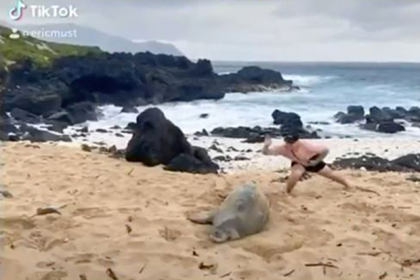 Мужчина ударил тюленя ради видео и попал в розыск