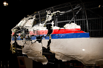 Россия оценила доказательства о ее причастности к сбитому в Донбассе MH17