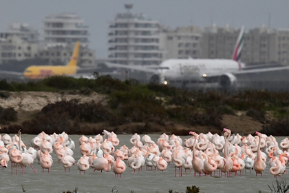 Кипр запретил прием пассажирских рейсов из России