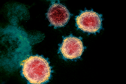 Коронавирус сравнили по опасности с другими вирусами