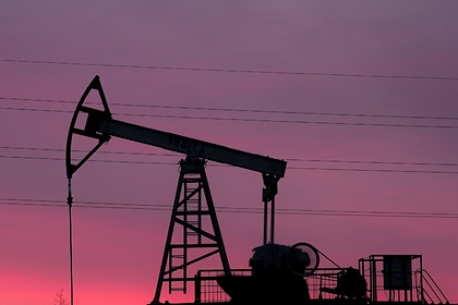 Эксперт назвал факторы победы России в переговорах по нефти