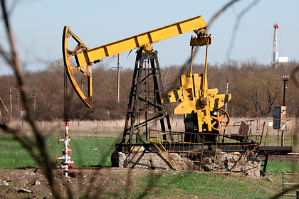 Доходам России от нефти предсказали падение в восемь раз