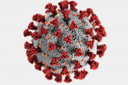 Предсказан катастрофичный уровень смертности от коронавируса