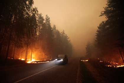 Россиян предупредили о риске возникновения летних торфяных пожаров