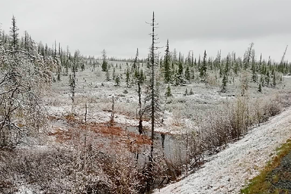 На Ямале выпал первый летний снег