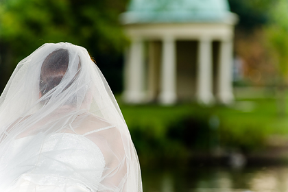 Невеста сосет на свадьбе: 37 видео найдено