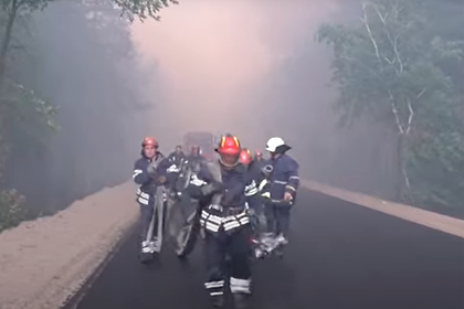 Украина заподозрила ЛНР в причастности к лесным пожарам в Луганской области