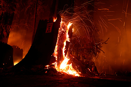 Жителей охваченной рекордными пожарами Калифорнии призвали бежать из штата