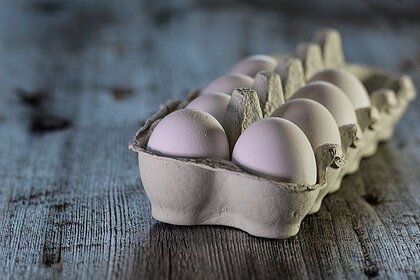 Найдена альтернатива куриным яйцам в рационе