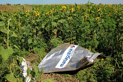 Подозреваемый по делу MH17 россиянин захотел обратиться к суду
