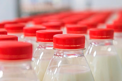 В российском регионе появился цех по переработке молока