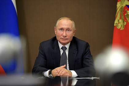 Путин описал ситуацию с лесом словами «ни в какие ворота не лезет»