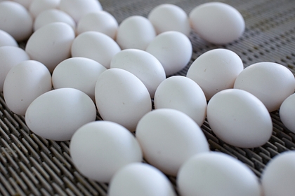 В сети назвали шесть опасных видов яиц