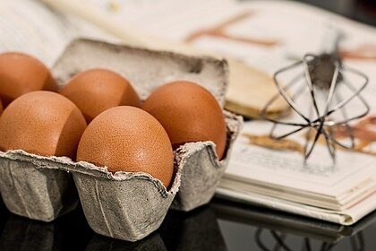 Диетолог объяснил разницу между яйцами со светлой и темной скорлупой