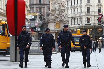 Власти Австрии назвали приведшие к теракту в Вене ошибки спецслужб