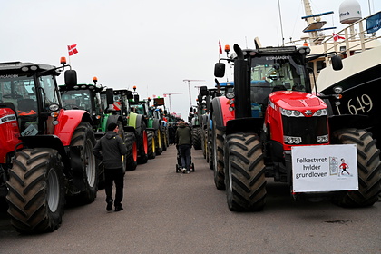 Фермеры на тракторах устроили протест в Копенгагене против уничтожения норок