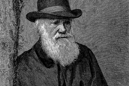 Пропажу рукописей Чарльза Дарвина заметили спустя 20 лет