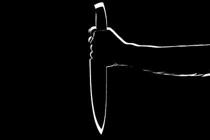 Сменивший пол подросток 118 раз ударил свою мать ножом