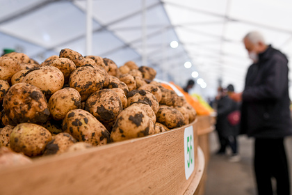 В России запретили продажу зеленой картошки и утиных яиц