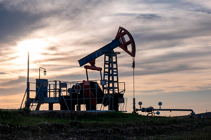 Падение цен на нефть назвали полезным для России