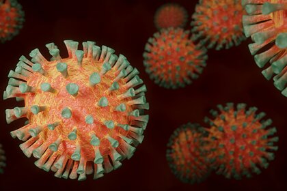 Врач рассказал о самой опасной мутации коронавируса