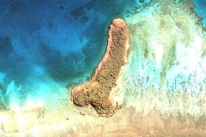 На картах Google обнаружили остров в форме пениса