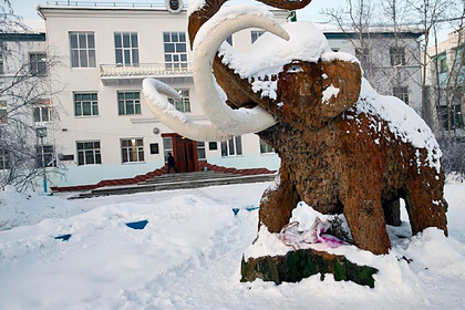 Власти Якутии собрались разводить клонированных мамонтов