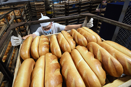 Российский врач назвал альтернативу хлебу