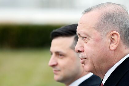 В Крыму оценили обещание Эрдогана Зеленскому