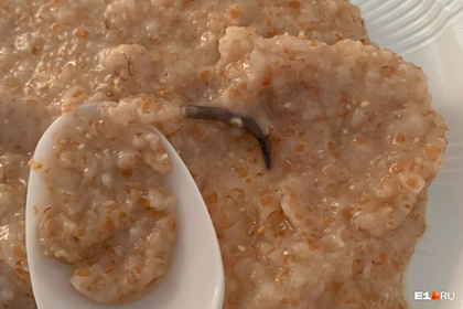 Россиянка показала найденный мышиный хвост в больничном завтраке для детей