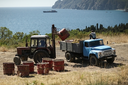 Подсчитан ущерб сельскому хозяйству Крыма от водной блокады Украины
