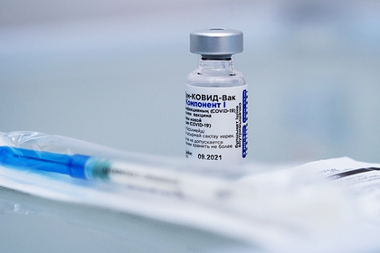 В Еврокомиссии оценили сроки поставок российской вакцины от коронавируса