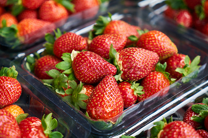 Врач назвал снижающую риск возникновения нескольких видов рака ягоду