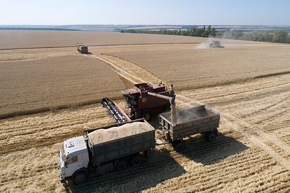 Российских фермеров попросили не надеяться на больший заработок
