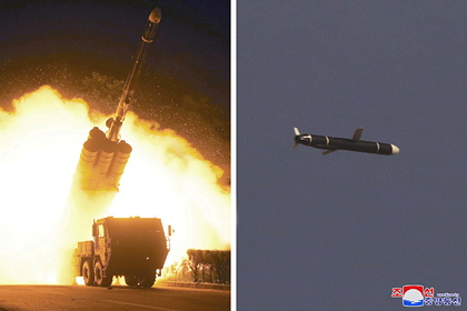 В Совфеде оценили опасность испытаний новой крылатой ракеты КНДР