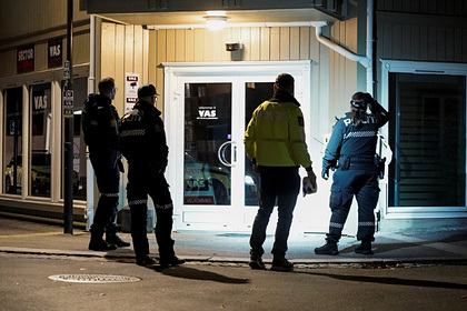 Полиция Норвегии рассказала о взглядах убившего пять человек лучника