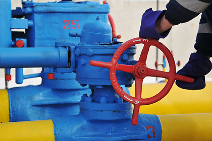Власти ФРГ оценили заявления о несоблюдении газовых контрактов Россией