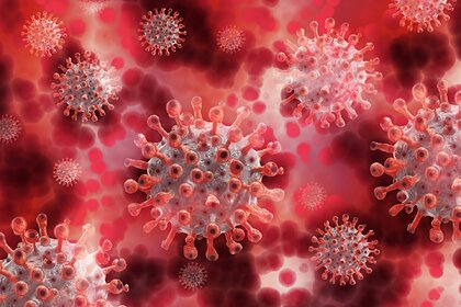 В Израиле обнаружили новый штамм коронавируса