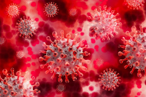 Российский вирусолог оценил шансы соединения коронавируса и Эболы