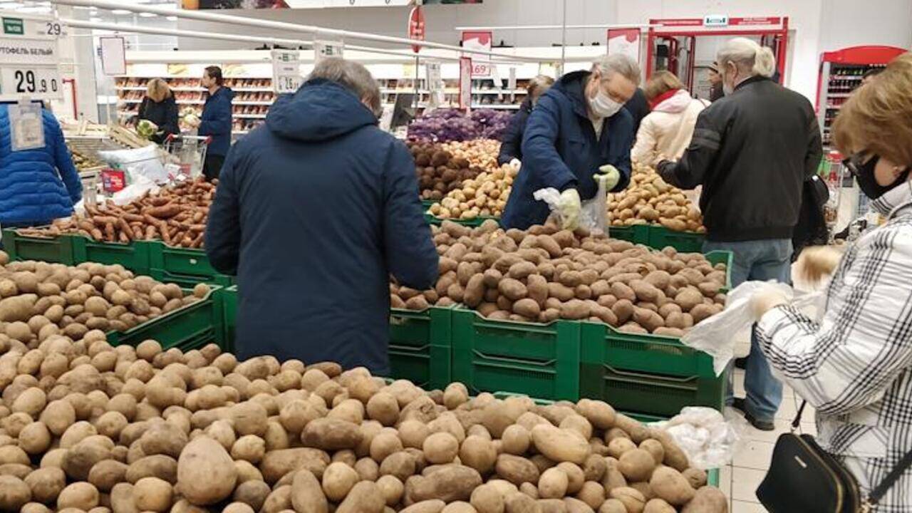Оценен риск дефицита картофеля в России