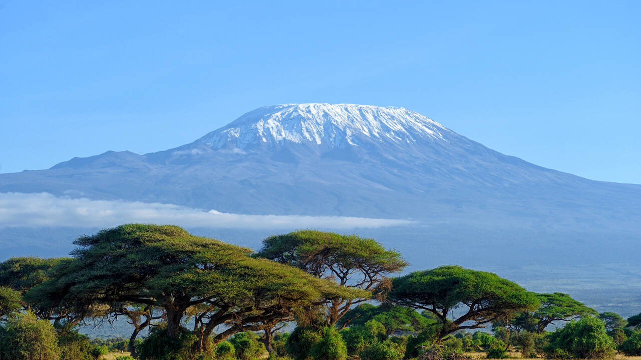 Доктор Мясников решил покорить Килиманджаро