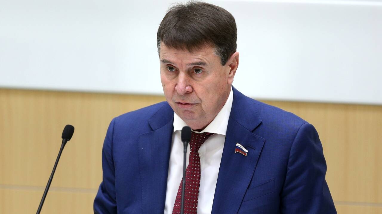 Фото: пресс-служба Совфеда / РИА Новости