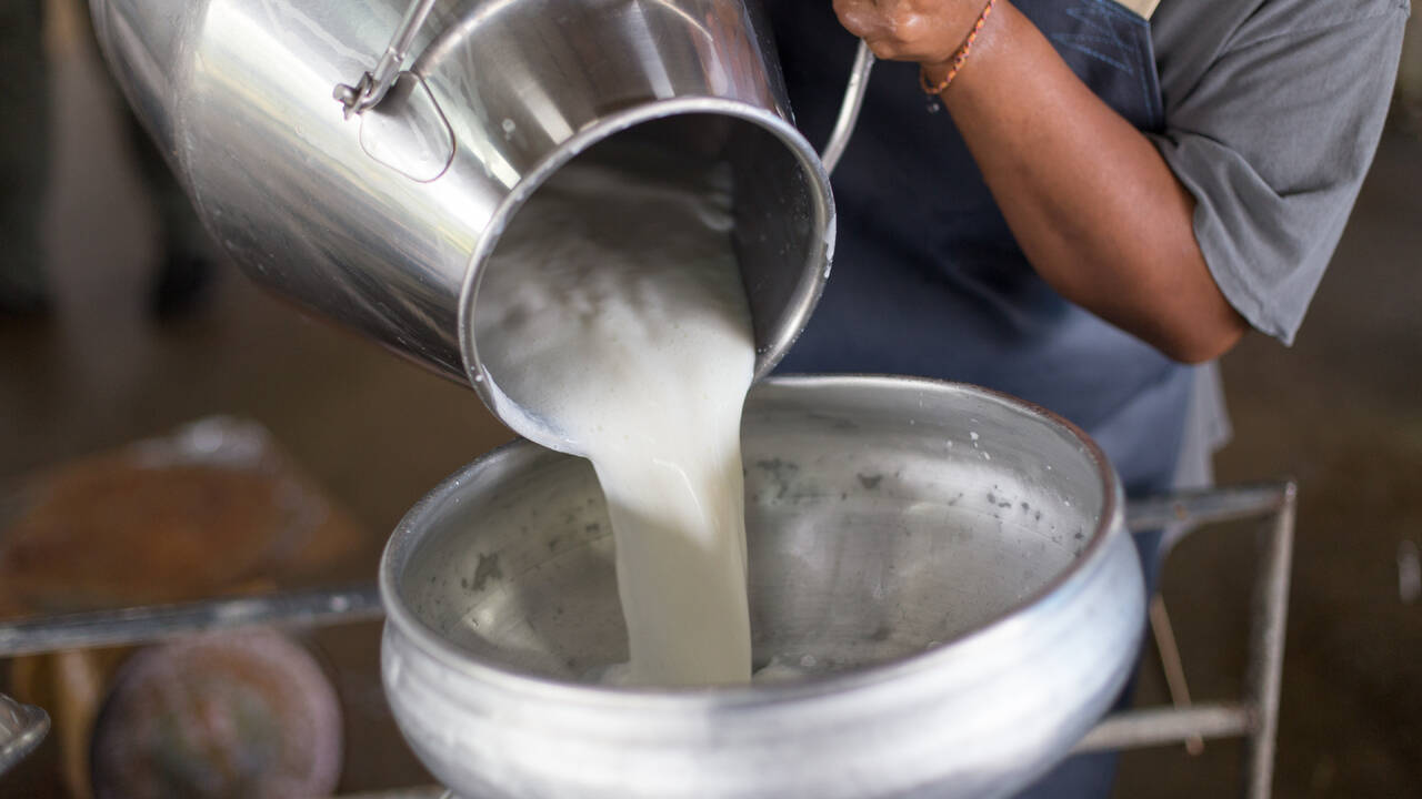 В Великобритании предсказали значительный рост мировых цен на молоко